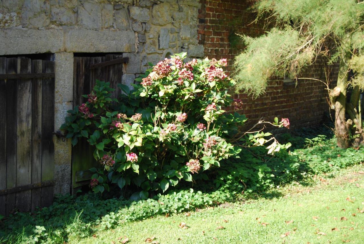 Gite La Grange D'Herbuchenne Dinant Exterior foto